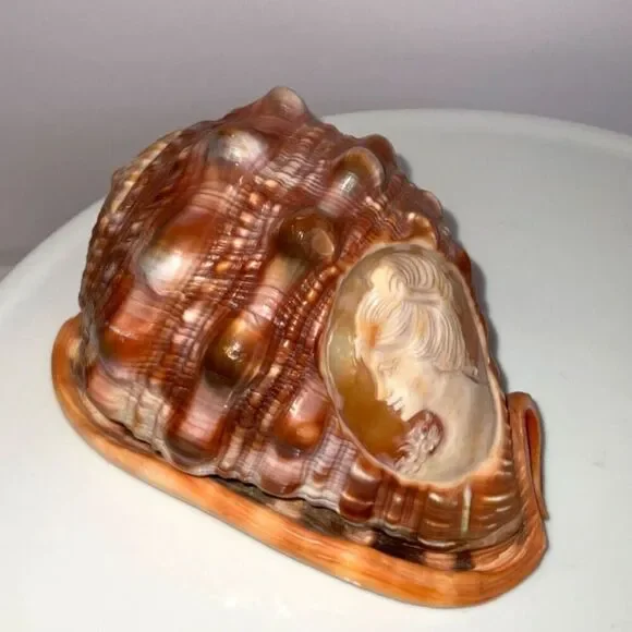 Vintage stunning hand carved cameo conch shell Italy must see - Picture 2 of 5